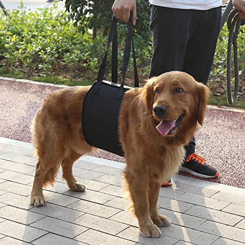 Portable Dog Lift Support Harness - Helps Dog With Weak Front Or Rear Legs Stand Up, Walk, Get Into Cars, Climb Stairs For Disable, Injured, Elderly Pet (Size: S)