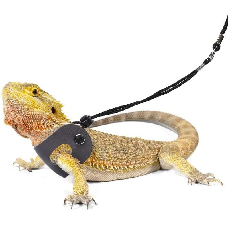 Small Animal Sling Carrier,Small Animal Bag for Bearded Dragons Lizards and Reptile with Adjustable Strap Tow Rope 3 Sizes Pack + Small Animal Sling Carrier（Blue Grid） Blue Grid