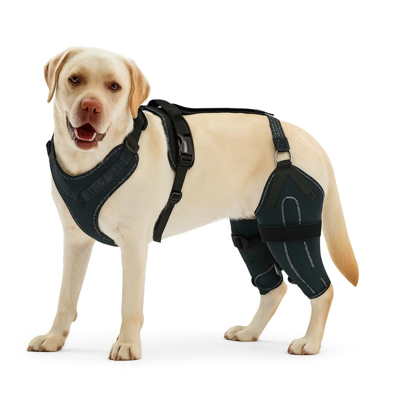 Dog Knee Brace for Hind twoLeg Support - Adjustable Hock Joint Wrap for ACL Ligament Injuries, Luxating Patella, and Arthritis Pain Relief, Best Recovery Sleeve for Injury Legs Dogs (Medium) Medium