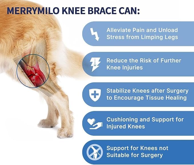 Dog Knee Brace for Hind & Rear Legs – Canine Leg Support – Adjustable, Durable, Black, Size M