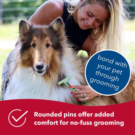 Coastal Pet Safari Dog De-Matting Comb and Undercoat Rake - Bundle for Matted Hair and Shedding Prevention - PawsPlanet Australia