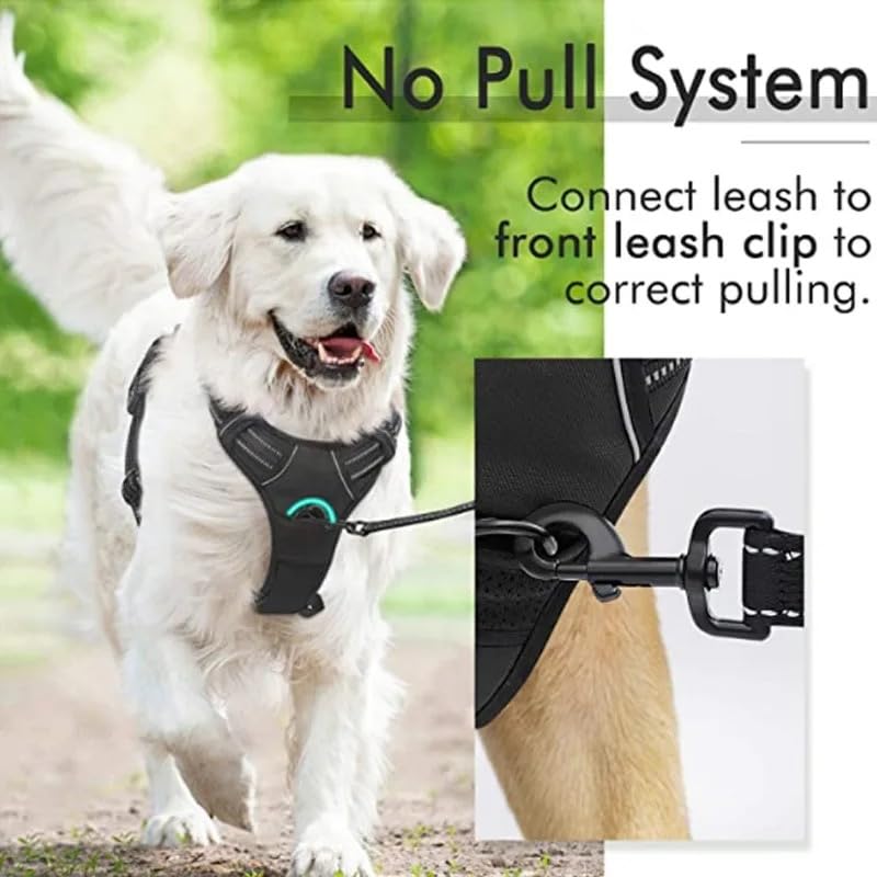 Enorme Dog Harness with Leash & Poop Bag Container + 350 ML Bowl, No-Pull Pet Harness Adjustable Soft Padded Dog Vest Reflective Oxford Vest with Easy Control Handle. (Black, Small) Black - PawsPlanet Australia