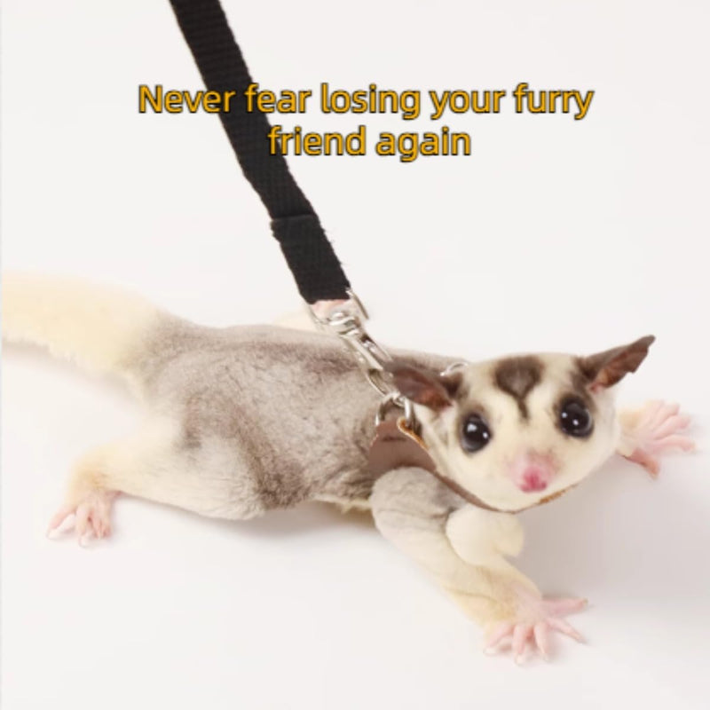Sugar Gliders Harness Leash Set - 3 Pcs Training Walking Gear Small Animal Adjustable Traction Ropes Vest for Squirrels Hamsters Rats Gerbils Reptiles Bearded Dragon Lizards Orange 01 Orange - PawsPlanet Australia