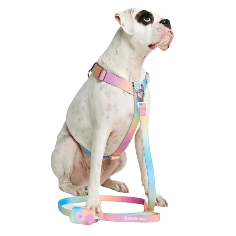 Spark Paws Premium Dog Leash & Poop Bag Set - Heavy-Duty Alloy Hook for Strong Pulling Breeds - Comfortable, Durable & Secure - Pastel Icing - PawsPlanet Australia