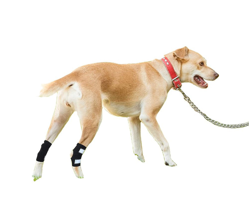 Dog Knee Brace for ACL, Arthritis & Injury - 2 Pack Adjustable Dog Leg Support Wrap with Reflective Strips, Breathable & Elastic Dog Knee Pads for Lameness, Luxating Patella, Senior Dogs (X-Large) X-Large