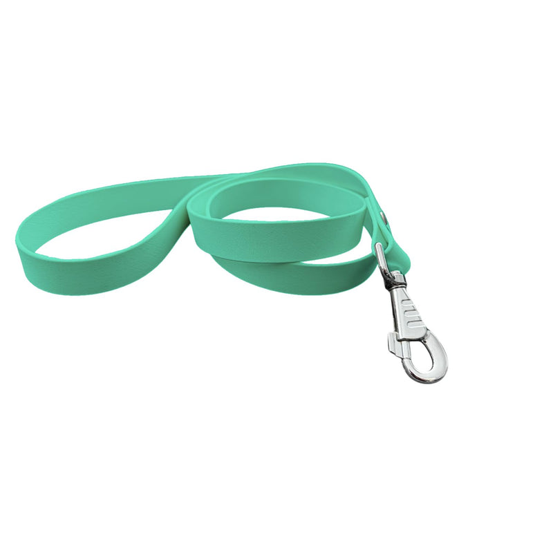 L'Atelier du Fourmilier Dog Leash in BioThane material, Width 25 mm (Caribbean Green)