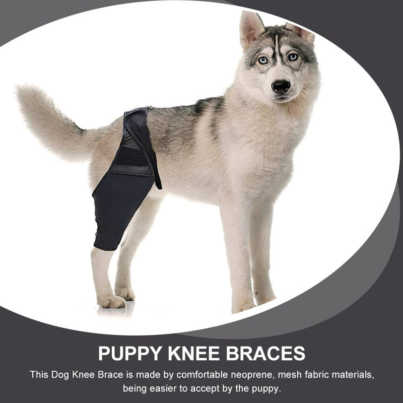 Balacoo Step in Dog Harness Dog acl hind Leg paw Balm Dogs Lick Safe Dog Care Dog Joint Dog Knee Dress Form Stand Comfortable Dog Knee Protector pet Auxiliary Belt As Shown L - PawsPlanet Australia