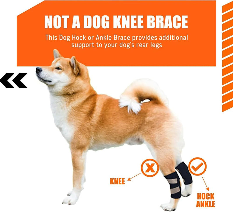 Dog Knee Brace for ACL, Arthritis & Injury - 2 Pack Adjustable Dog Leg Support Wrap with Reflective Strips, Breathable & Elastic Dog Knee Pads for Lameness, Luxating Patella, Senior Dogs (X-Large) X-Large