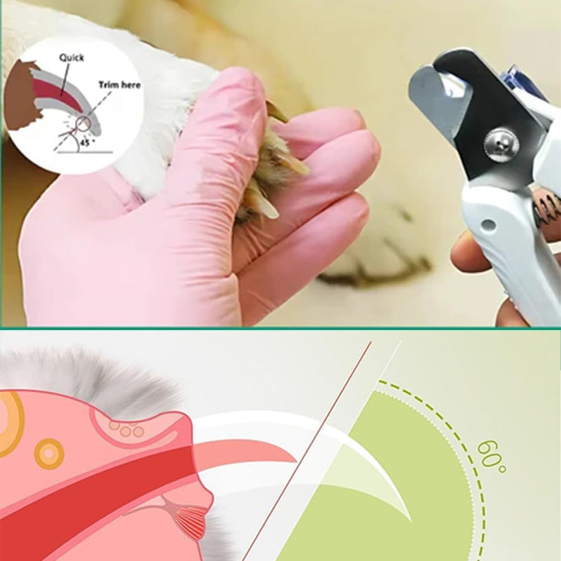 Pet Nail Trimmer with Light, 2 in 1 Nail Clipper and Grinder for Most Animals, Nail Trimmers for Dogs with Guard, Precise Cat & Dog (White) - PawsPlanet Australia