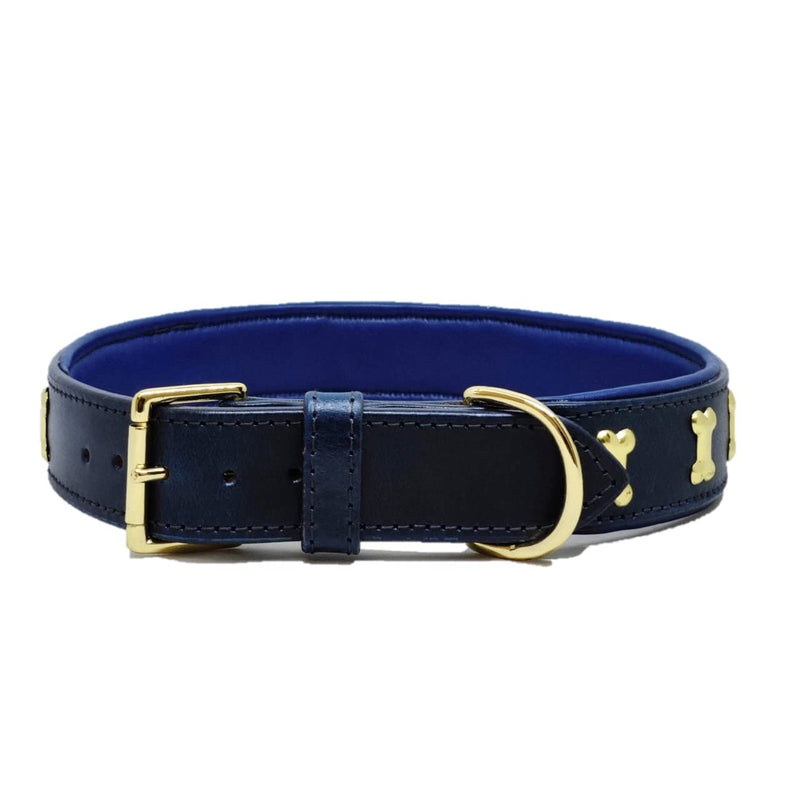 Premium Genuine Leather Luxury Dog Collar -Walking Running Training Purposes - Durable Strong Adjustable Male Female Dogs (L (17"-20"), Blue/Golden) L (17"-20") - PawsPlanet Australia