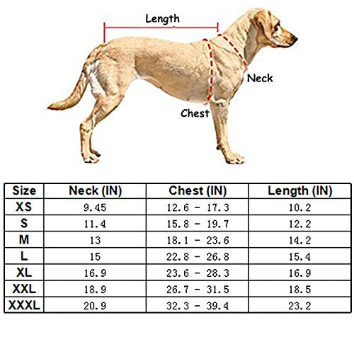 Creation Core Windproof Plush with Sport Vest Dog Clothes Night Reflective Jacket Pet Keep Warm Jacket No Pull No Choke Design Eco-Friendly for Small and Large Big Dog(Yellow M) Medium Yellow - PawsPlanet Australia