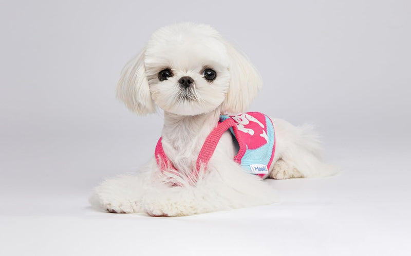 Dog Sleeveless Knit Vest.Perfect for Small/Medium Male and Female Dogs and Cats. Rocking a Cute, All-American Sweetheart Vibe. Colors: Blue and Yellow. (Blue, X-Small) - PawsPlanet Australia