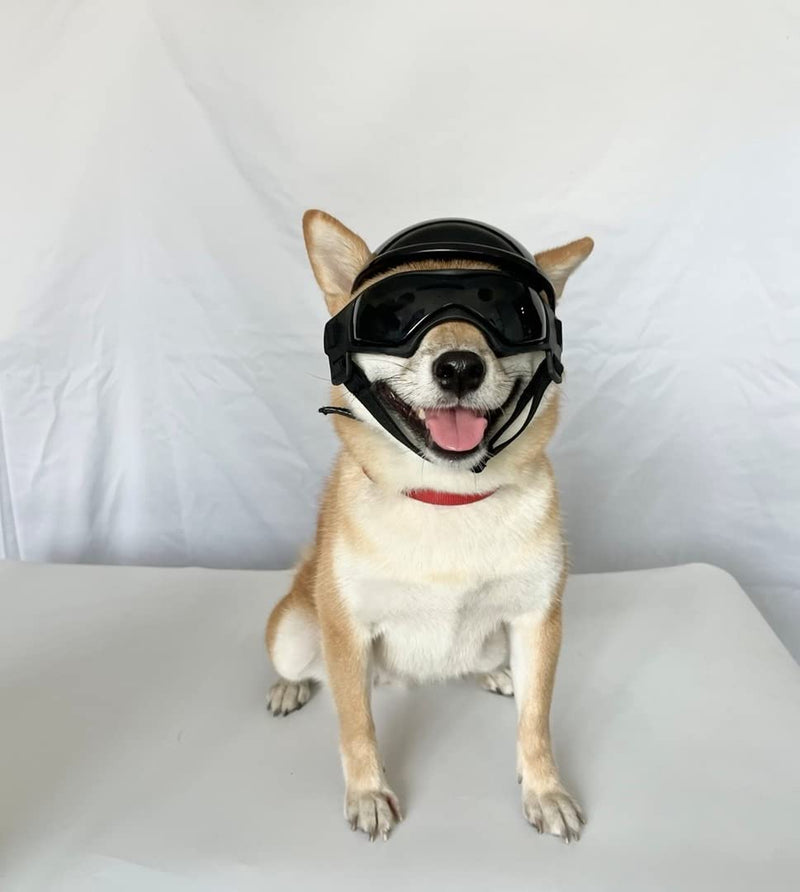 PETLESO Dog Goggles for Small Dogs with Helmet, 2pcs Dog Sunglasses and Dog Helmet Set for Small Medium Dog Outdoor Driving Walking, Black - PawsPlanet Australia