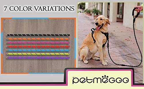 5ft 1/2in Strong Green Dog Leash - Highly Reflective Heavy Duty Rope Leash with Soft Padded Anti-Slip Handle - for 18-120 lbs Dogs 1/2" x 5 FT(18~120 lbs.) Light Green - PawsPlanet Australia