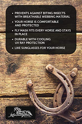 Kensington Fly Mask with Fleece Trim for Horses — Protects Face and Eyes from Flies and Sun Rays While Allowing Full Visibility — Breathable and Non Heat Transferring, Large, Tan - PawsPlanet Australia