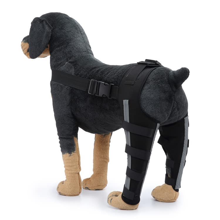LKJYBG FQZPE_QESNX Support Dog Adjustable Shoulder Cover arthriti pet Large Gear Rear Joint Help Torn acl Double Strap Knee Brace, Small, Hj40 Hind Legs Black