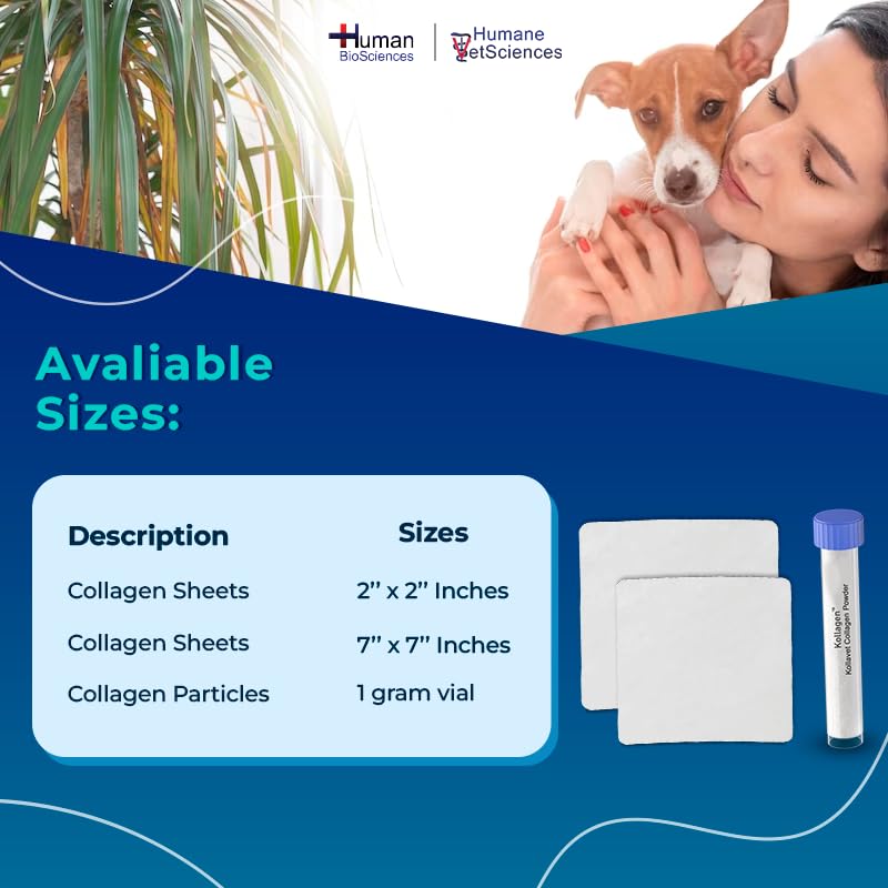 Veterinarian-Recommended Animal Wound Care Dressing for Cats, Dogs, Horses, Reptiles, Pets, and Working Animals (1 Gram Vials) 1 Gram Vials - PawsPlanet Australia