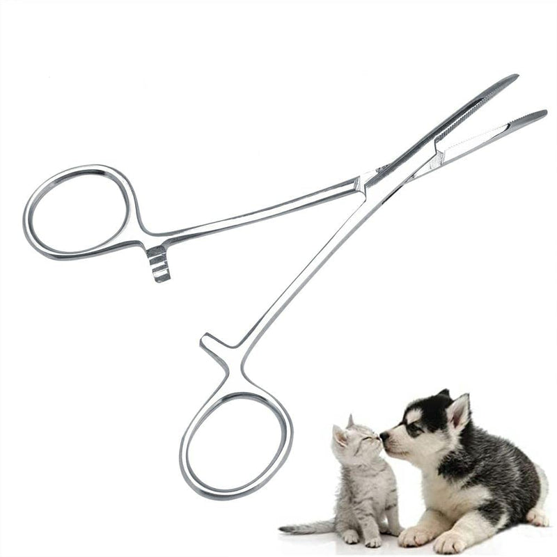 Dog Ear Hair Removal Tool, Dog Ear Plucking Tool Dog Ear Hair Remover Pets Ears Nose Hair Puller Stainless Steel Grooming Cleaning Clamp with Curved Tip Tweezers for Pet Cats Trimmer Accessories(big) - PawsPlanet Australia
