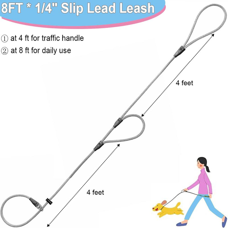 Double Handle Slip Lead 8FT Dog Leash, 1/4" Nylon Rope Training Lead, Traffic Handle No-Pull Control Leash for Small Medium Pet Puppies Walking（8FT*1/4", Black） 8FT * 1/4" - PawsPlanet Australia
