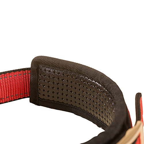 Creation Core 1 Set Adjustable Dog Seat Belt & Dog Collar with Elastic Handle Soft Padded Premium 2 in 1 Reflective Pet Leash - PawsPlanet Australia