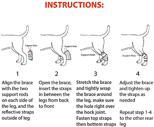 NeoAlly Super Supportive Dog Braces for Rear Leg and Hock Joint with Dual Metal Spring Strips Stabilize Canine hind Legs from Wound, Injury, Sprains, Arthritis (XL Pair) Both Leg XL