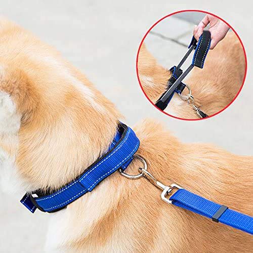 Creation Core 1 Set Adjustable Dog Seat Belt & Dog Collar with Elastic Handle Soft Padded Premium 2 in 1 Reflective Pet Leash - PawsPlanet Australia