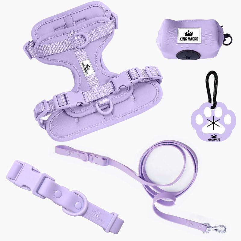 King Macks Dog Harness Set with Collar and Leash, Waste Bag Holder and Dirty Waste Bag Clip, Adjustable for Small/Medium/Large Dogs, Lightweight (Blue with Green, Large) Blue with Green - PawsPlanet Australia