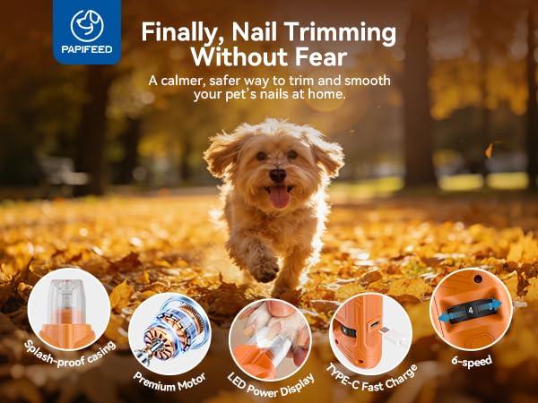 PAPIFFEED Dog Nail Grinder, Quiet 6-Speed Electric Nail Trimmer with Dual LED Light, Rechargeable for Small Medium Large Dogs, with Premium Nail Clipper (Orange Set) Orange Set - PawsPlanet Australia