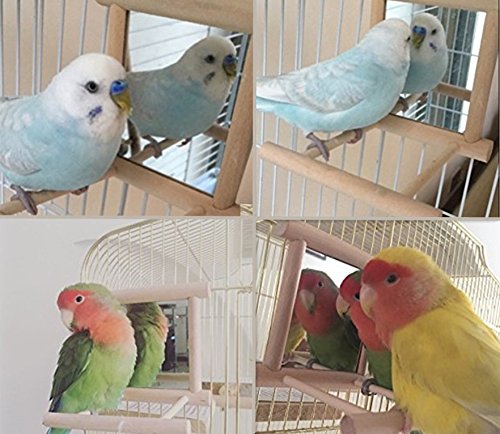 Hypeety Bird Parrot Mirror Toy Swing Hanging with Perch for Parrot Parakeet Budgies Cockatiel Conure Finch Lovebird (D) Wooden Mirror with Perch