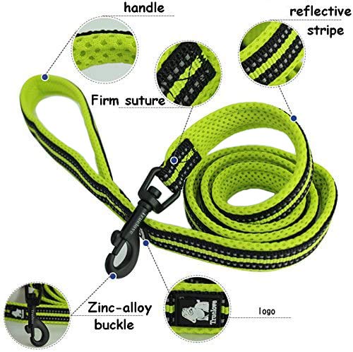 Creation Core Reflective Nylon Dog Collar and Training Leash Set for All Season Padded Durable Adjustable, Blue M M(15.7-17.7") - PawsPlanet Australia