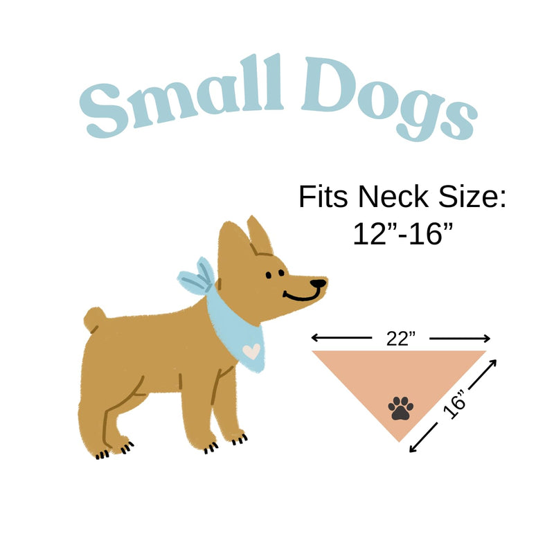 Baby Security in Training Dog Bandana Pregnancy Announcement Natural Cream Minimal Style (Large) Large - PawsPlanet Australia