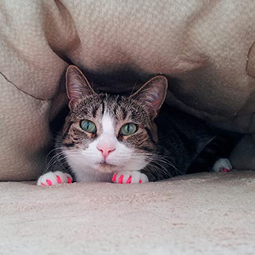 Soft Nail Caps for Cat Claws Pink Glitter Small - PawsPlanet Australia