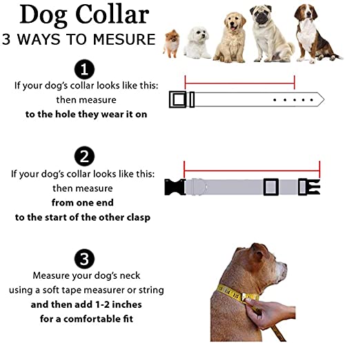 Roses&Poetry Dog Collar with Colourful Bee Patterns, Adjustable Durable Puppy Collars for Small Medium Large Dogs (Bee-L) L Golden - PawsPlanet Australia