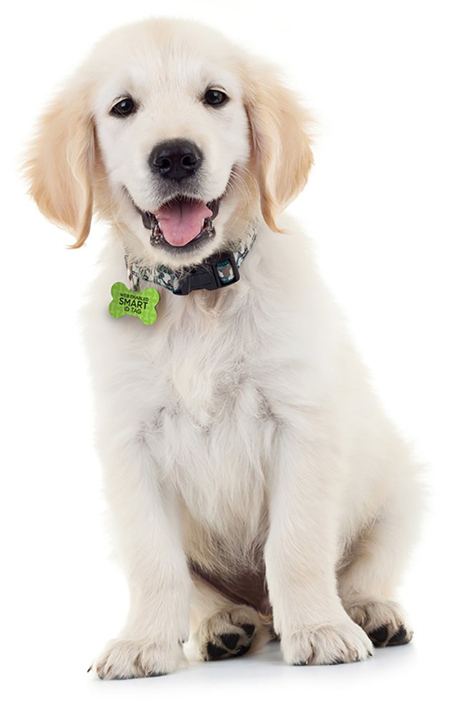Dynotag Web/Location Enabled QR Code Smart, Deluxe Coated Steel Pet Tag - Play Series - Bone Green Classic - PawsPlanet Australia