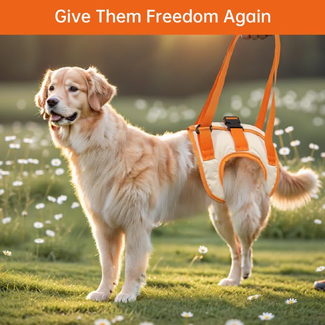 Paralyzed Dog Harness with Hind Leg Support - Small Sized Dog Sling, Adjustable Lift Harness, Hip Dysplasia Brace & ACL Tear Aid for Elderly Dogs - Alternative to Dog Wheelchair L
