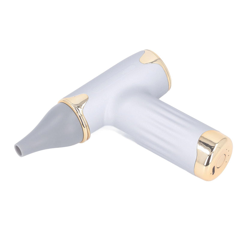 Tbest Pet Hair Dryer, High Speed 4 Levels Wind Bladeless 60W Electric Hair Dryer Handheld Dust Blower for Cats Dogs (Silver Silver - PawsPlanet Australia