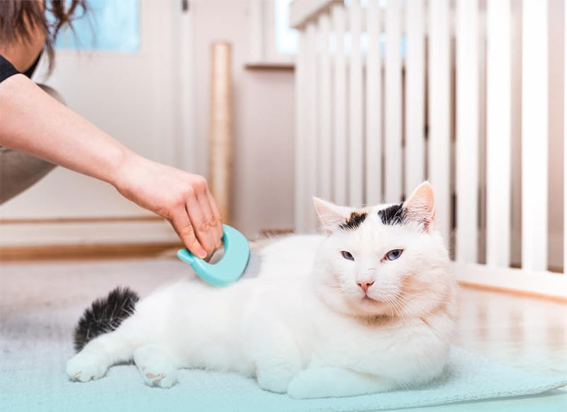 AKOAK 1 Pack Cat Massage Comb, Pet Hair Removal Massage Shell Brush, Soft Hair Removal Brush Comb and Shed Fur Remover Hair Removal Tool for Long and Short Hair Cats Dogs Puppies Rabbits - PawsPlanet Australia