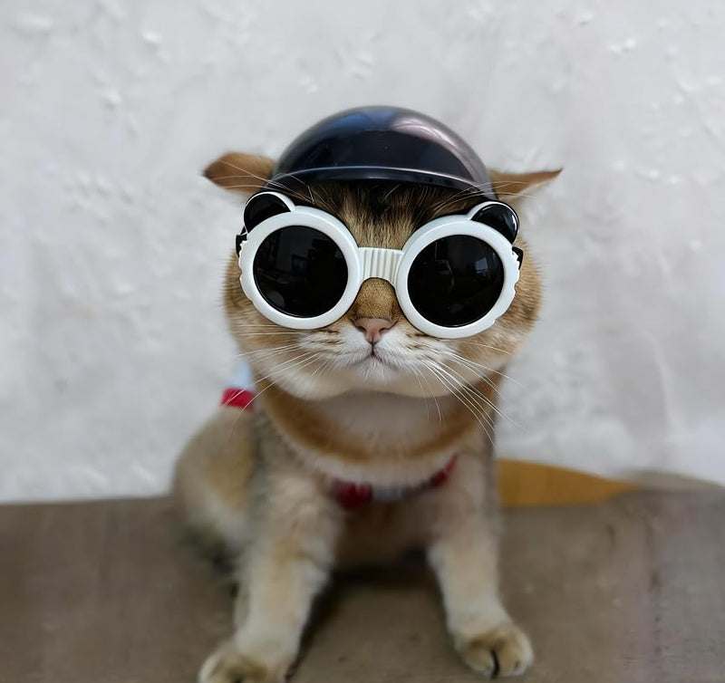 PETLESO Extra Small Dog Goggles and XSmall Dog Helmet, 2Pcs Anti-UV Doggy Sunglasses Cat Motorcycle Protecetive Helmet Set, Chihuahua Safety Hard Hat Outdoor Head & Eyes Protection, White XS Black+White - PawsPlanet Australia