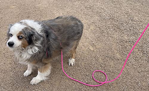 12-Foot Mini Pig Harness - Adjustable Harness & Leash for All Animals - Pigs, Ferrets, Rabbits, Guinea Pigs, Dogs, Cats, Reptile, and Chickens Pink - PawsPlanet Australia