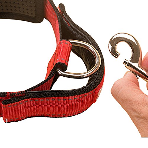 Creation Core 1 Set Adjustable Dog Seat Belt & Dog Collar with Elastic Handle Soft Padded Premium 2 in 1 Reflective Pet Leash - PawsPlanet Australia