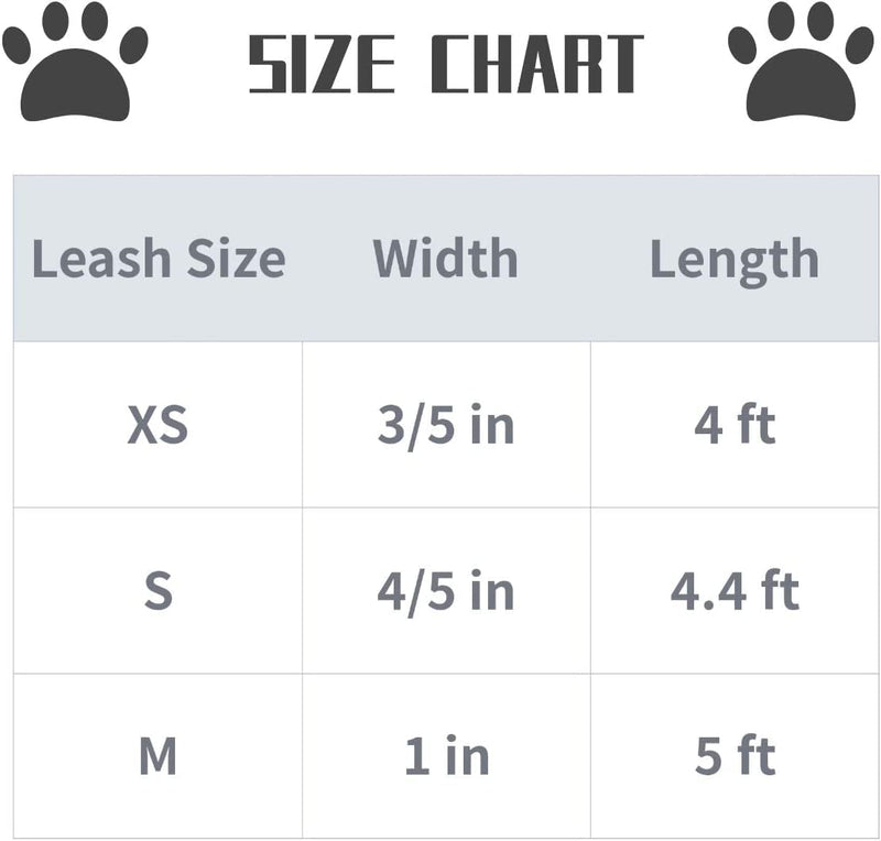 Lionet Paws Spring Daisy Dog Leash Matching Dogs Collar for Small Medium Large Dog S - PawsPlanet Australia
