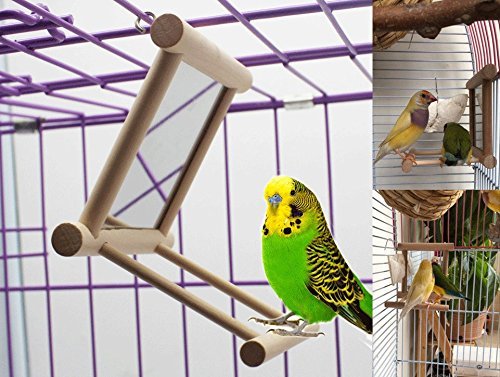 Hypeety Bird Parrot Mirror Toy Swing Hanging with Perch for Parrot Parakeet Budgies Cockatiel Conure Finch Lovebird (D) Wooden Mirror with Perch