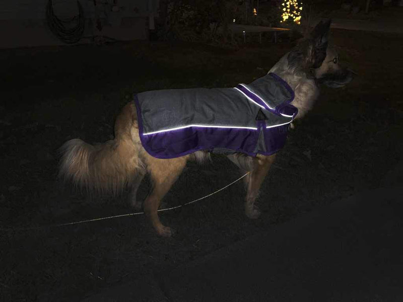 Derby Originals Ruff Pup 1200D Ripstop Waterproof Reflective Winter Dog Coat with Neck Cover and Harness Compatible Opening 220G 26" Charcoal/Black - PawsPlanet Australia