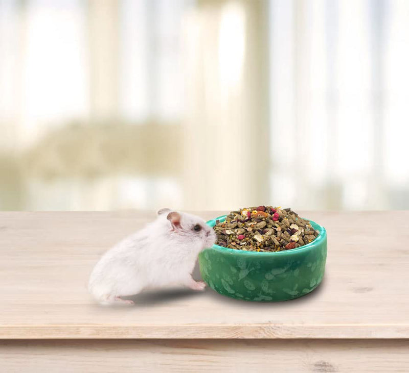 kathson 2 Pcs Hamster Food Bowl Guinea Pig Ceramic Water Bowl Small Animal Feeding Dish for Dwarf Hamster Gerbil Syrian Ferret Hedgehog Chinchilla Bunny (Green)… Green - PawsPlanet Australia