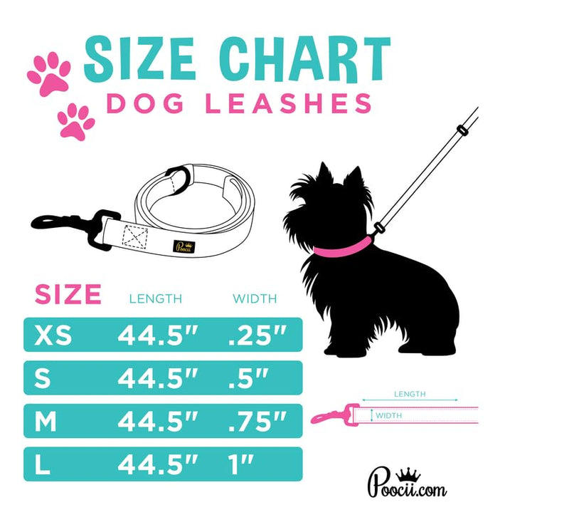 Dog Leash, 4 Feet Long, Stylish, Cute and Durable Accessories for Small, Medium and Large Pets, Training and Walking (Serene Teal, Large) Serene Teal - PawsPlanet Australia