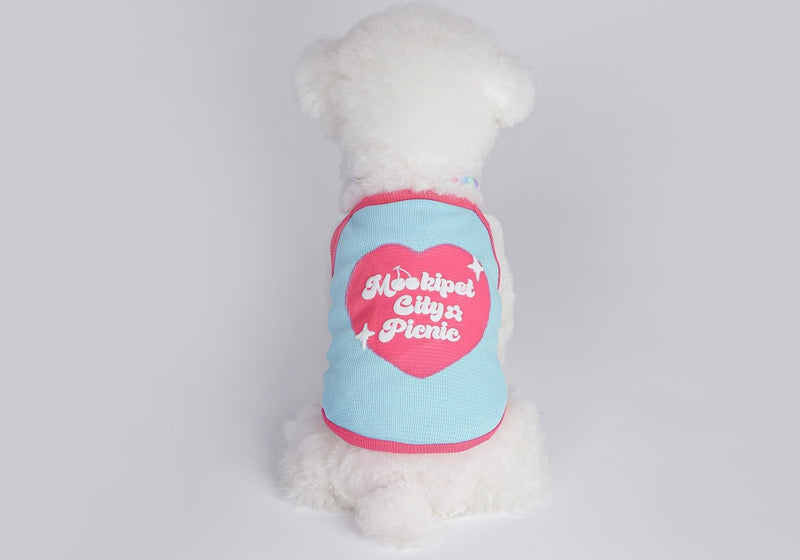 Dog Sleeveless Knit Vest.Perfect for Small/Medium Male and Female Dogs and Cats. Rocking a Cute, All-American Sweetheart Vibe. Colors: Blue and Yellow. (Blue, X-Small) - PawsPlanet Australia