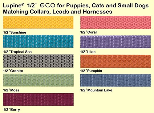 LupinePet Eco 1/2" Tropical Sea 8-12" Adjustable Collar for Small Dogs Collar - 1/2"W; 8-12" Neck - PawsPlanet Australia