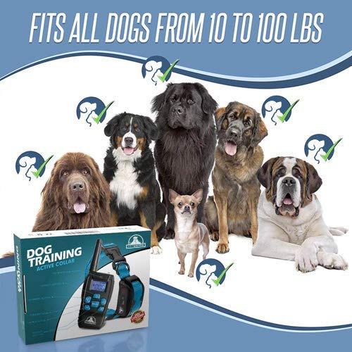 Pet Union PT0Z1 Premium Training Shock Collar for Dogs with Remote - Fully Waterproof, 4 Adjustable Training Modes - Shock, Vibration, Beep - Up to 1200ft Range Blue - PawsPlanet Australia