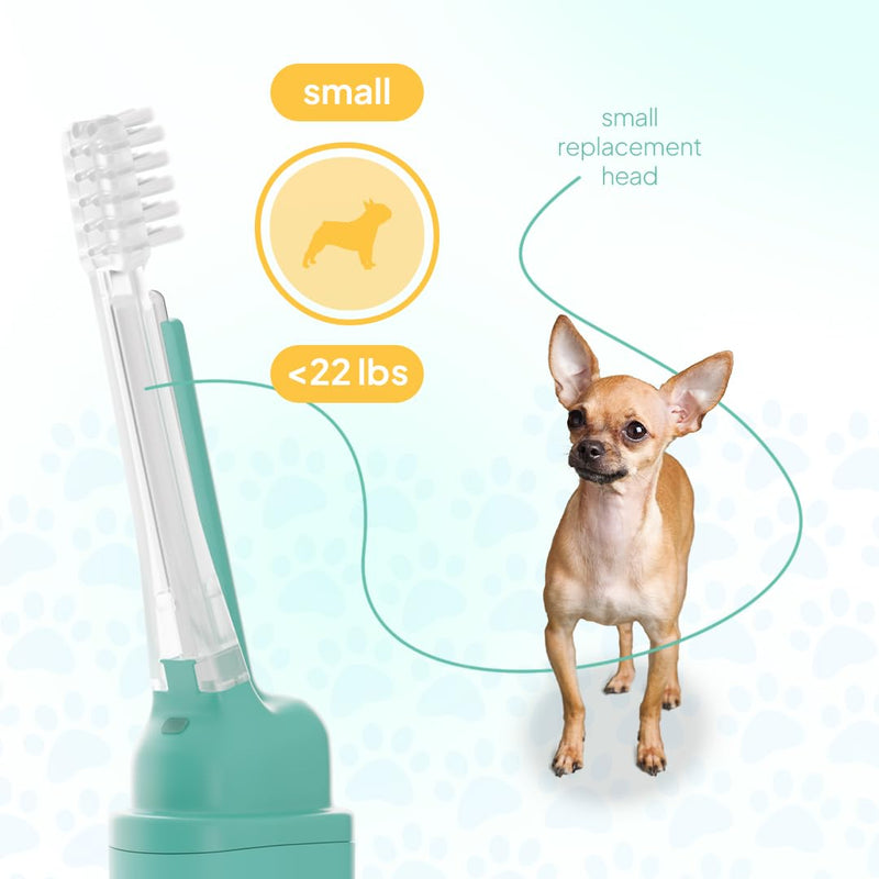 Dog Toothbrush Replacement Heads | 2 Pack | Replace Every Three Months | Reduces Bad Breath | Compatible with Petsie Toothbrush Only (White, Small Dogs) White - PawsPlanet Australia