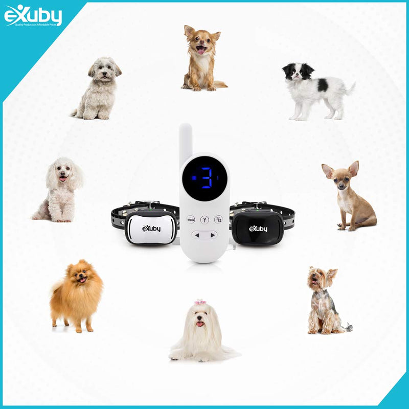 eXuby Tiny Dual Shock Collar - Smallest Collar on The Market - Sound, Vibration, Shock - 9 Intensity Levels - Pocket-Size Remote - Long Battery Life - Water-Resistant - White Remote - PawsPlanet Australia